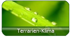 Klimasteuergeräte und Beleuchtung für Terrarien günstig kaufen