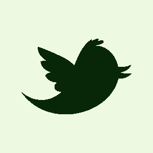 Folge unseren aktuellen tweets bei twitter - keine Meldung verpassen