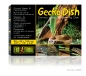 Preview: Gecko Dish Gecko Napf