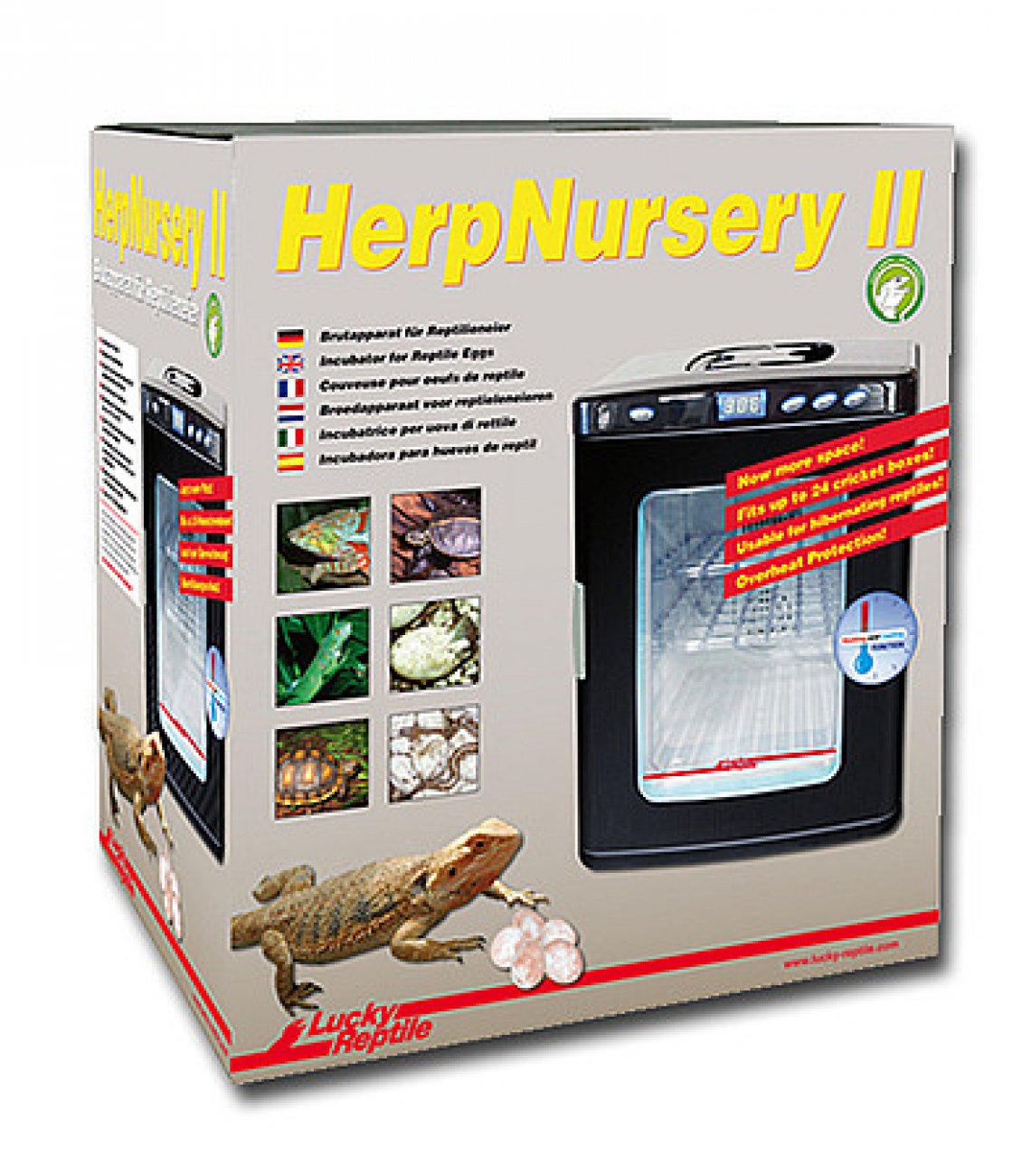 Herp- Nursery II. Inkubator