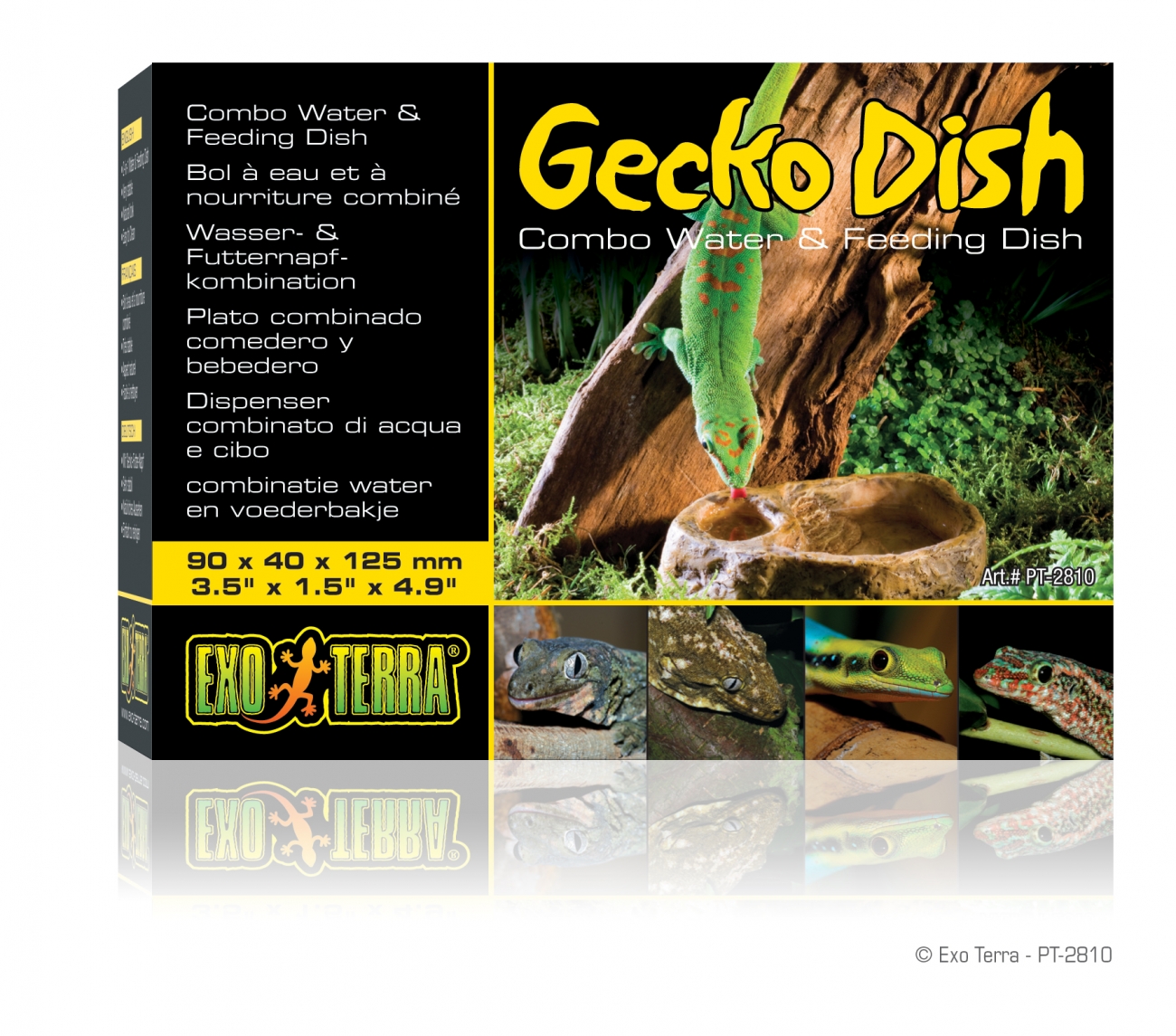 Gecko Dish Gecko Napf