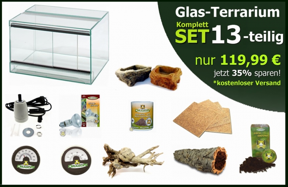 Glas Terrarium Komplettset inklusive 13-teiligem Zubehör kaufen